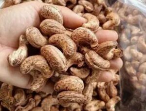 Cận cảnh hạt điều dinh dưỡng