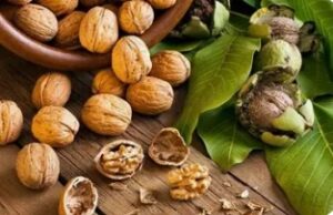 Hạt óc chó tốt cho sức khỏe