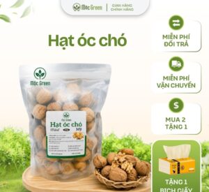 Hạt óc chó dinh dưỡng healthy của Mộc Green