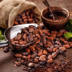 Bột Cacao Mocgreen Nguyên Chất – Thơm Ngon, Giàu Dinh Dưỡng