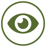 Icon Tầm Nhìn