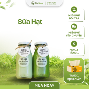 Sữa Hạt Sen Bầu Cốt Dừa Mocgreen | Thức Uống Healthy Tự Nhiên