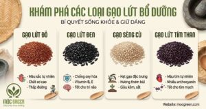 Gạo lứt là gạo gì? Khám phá các loại gạo lứt như gạo lứt đỏ, đen, Séng Cù, tím than và lợi ích dinh dưỡng cho sức khỏe.
