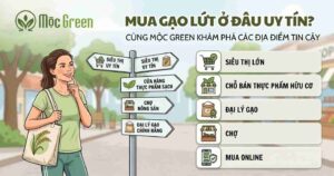 Mua gạo lứt ở đâu uy tín? Ảnh thumnail bài viết Mộc Green